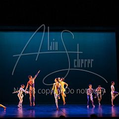 Rainforest 20240704 003.jpg