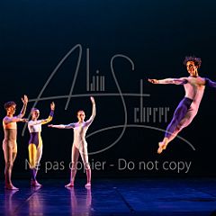 Rainforest 20240704 005.jpg