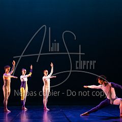 Rainforest 20240704 006.jpg