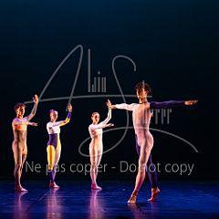 Rainforest 20240704 007.jpg