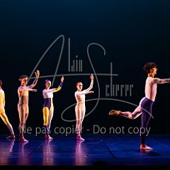 Rainforest 20240704 009.jpg