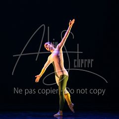 Rainforest 20240704 013.jpg