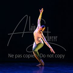 Rainforest 20240704 014.jpg