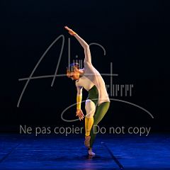 Rainforest 20240704 016.jpg