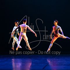 Rainforest 20240704 032.jpg