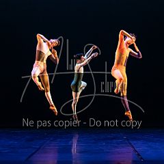 Rainforest 20240704 033.jpg