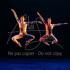 Rainforest 20240704 037.jpg