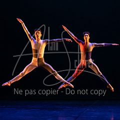 Rainforest 20240704 039.jpg