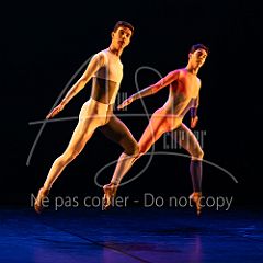 Rainforest 20240704 041.jpg