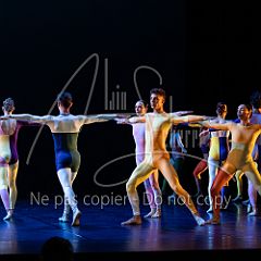 Rainforest 20240704 043.jpg