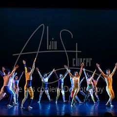 Rainforest 20240704 046.jpg