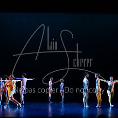 Rainforest 20240704 047.jpg