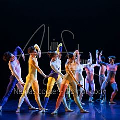 Rainforest 20240704 052.jpg