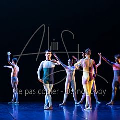 Rainforest 20240704 054.jpg