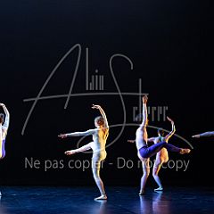 Rainforest 20240704 065.jpg