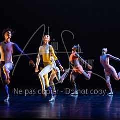 Rainforest 20240704 079.jpg