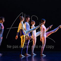 Rainforest 20240704 080.jpg