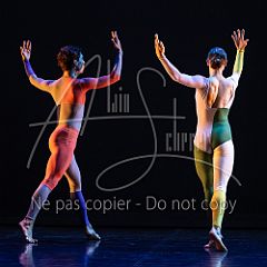 Rainforest 20240704 089.jpg