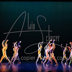 Rainforest 20240704 091.jpg