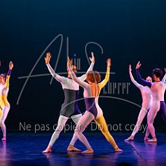 Rainforest 20240704 098.jpg