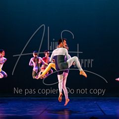 Rainforest 20240704 100.jpg