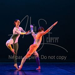 Rainforest 20240704 103.jpg