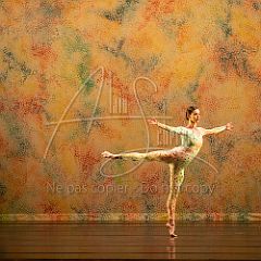 Ballet de l'Opéra de Lyon