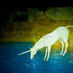 Blanca Li_20090618_5D6448_PRT CPR.jpg