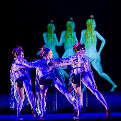 Blanca Li_20090618_5D6911_PRT CPR.jpg