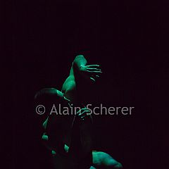 AlainScherer-Parallèle 20170124_001 CPR.jpg