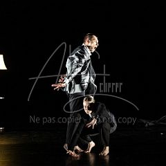 TheCows 20240330 001.jpg