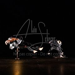 TheCows 20240330 003.jpg