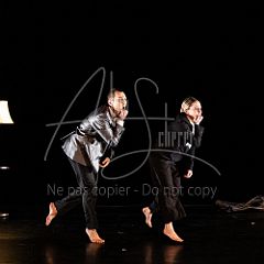 TheCows 20240330 008.jpg