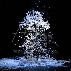 TheCows 20240330 020.jpg