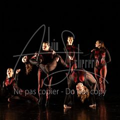 WildISleep 20250322 002.jpg