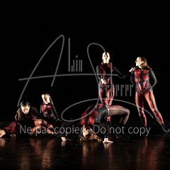 WildISleep 20250322 003.jpg