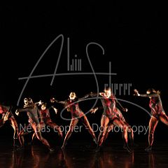 WildISleep 20250322 004.jpg