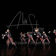 WildISleep 20250322 006.jpg