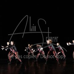 WildISleep 20250322 007.jpg