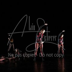 WildISleep 20250322 011.jpg