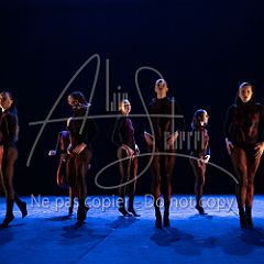 WildISleep 20250322 014.jpg