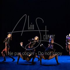 WildISleep 20250322 019.jpg