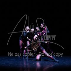 WildISleep 20250322 028.jpg