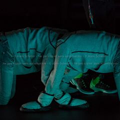 Hyperterrestres 20150702_031 CPR.jpg