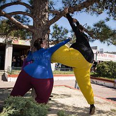 Les_Gonflés 20130414_035 CPR.jpg