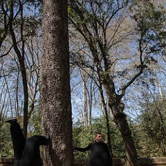 Les_Gonflés 20130413_007 CPR.jpg