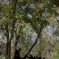 Les_Gonflés 20130413_017 CPR.jpg