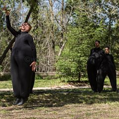 Les_Gonflés 20130413_024 CPR.jpg