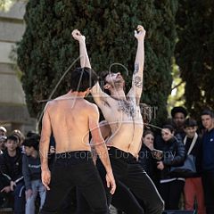 PrintempsDeLaDanse 20240304 525.jpg