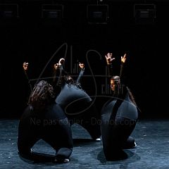 Terre 20210722 015.jpg